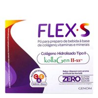Flex S 30 Saches (colageno Hid Ii)